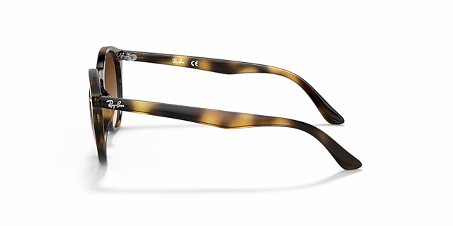 RB9064S Havana KunststoffSunglass Frames von B24, Seitenansicht