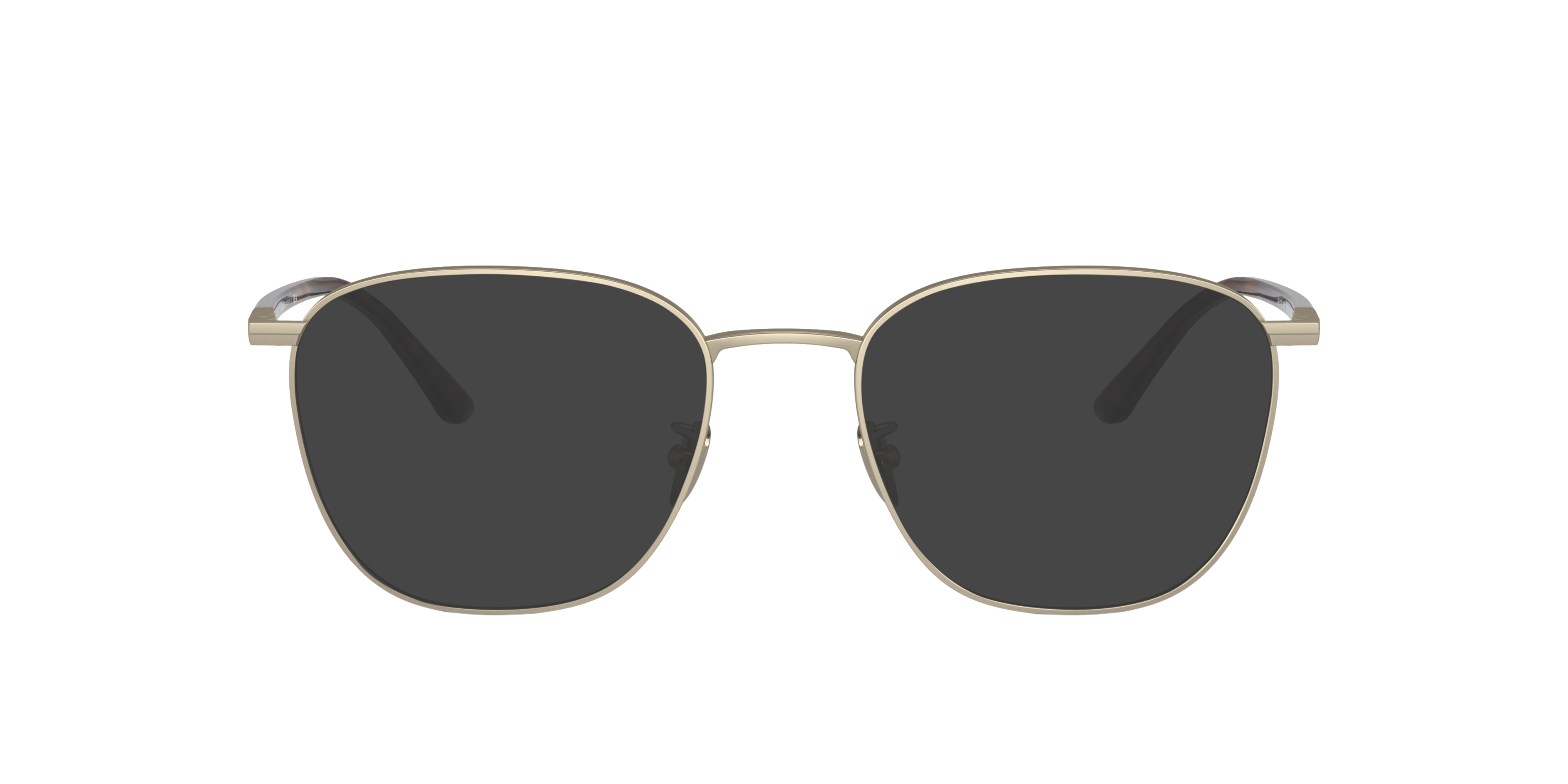 AR5132 Mat lichtgoud MetaalEyeglass Frames van B24, met getinte lenzen