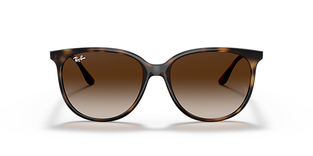 RB4378 Havana KunststoffSunglass Frames von B24, Vorderansicht