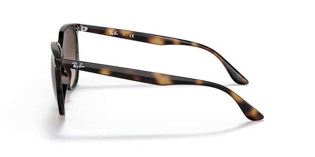 RB4378 Havana KunststoffSunglass Frames von B24, Seitenansicht