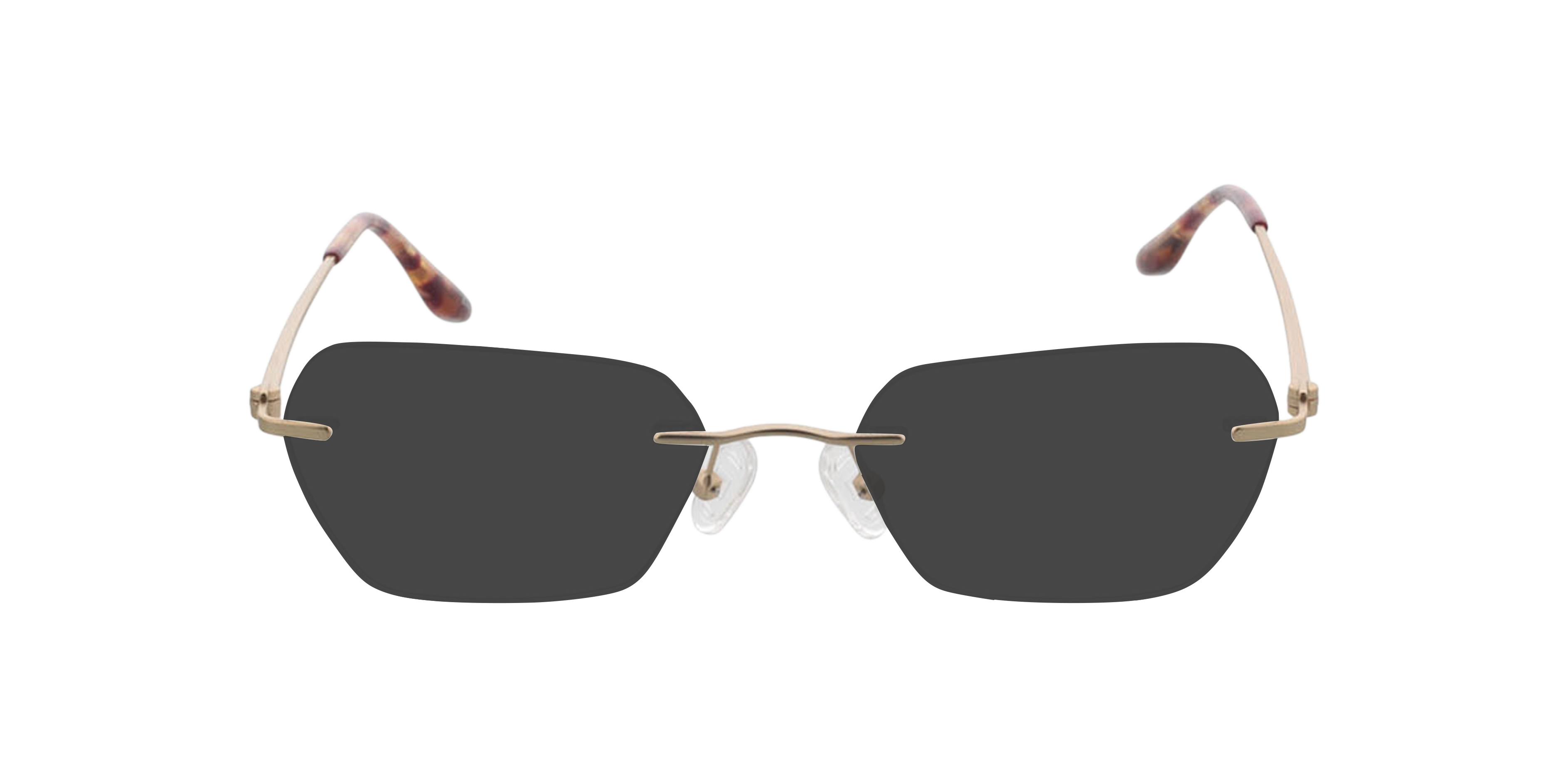 Westwood Matt Gold MetallEyeglass Frames von B24, mit getönten Gläsern