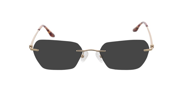 Westwood Matt Gold MetallEyeglass Frames von B24, mit getönten Gläsern