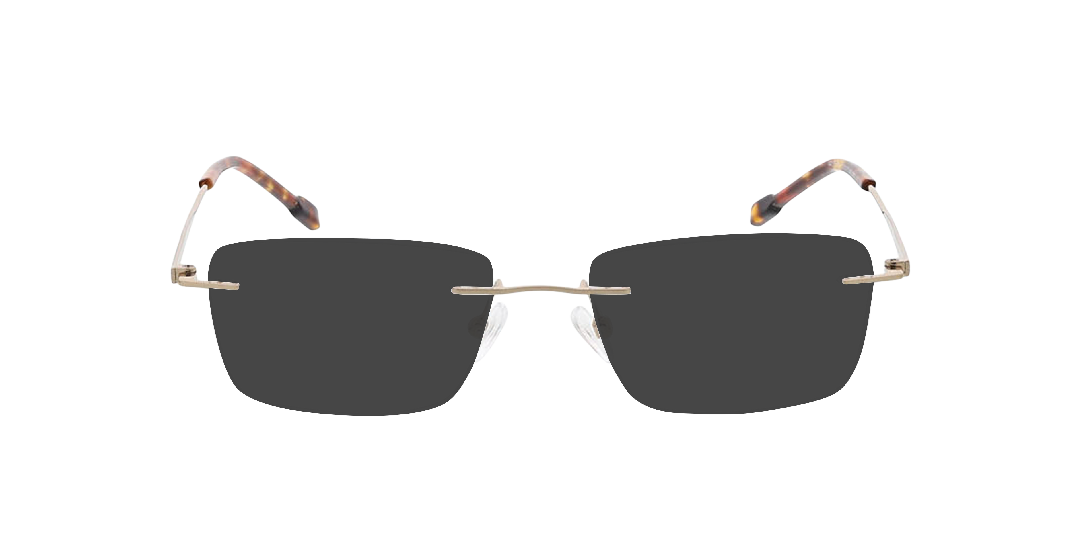 Freetown Lichtgoud MetaalEyeglass Frames van B24, met getinte lenzen