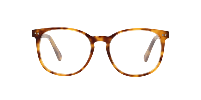 BARRON Hazel Tortoise AcetatEyeglass Frames von B24, Vorderansicht