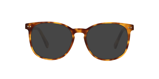 BARRON Hazel Tortoise AcetatEyeglass Frames von B24, mit getönten Gläsern