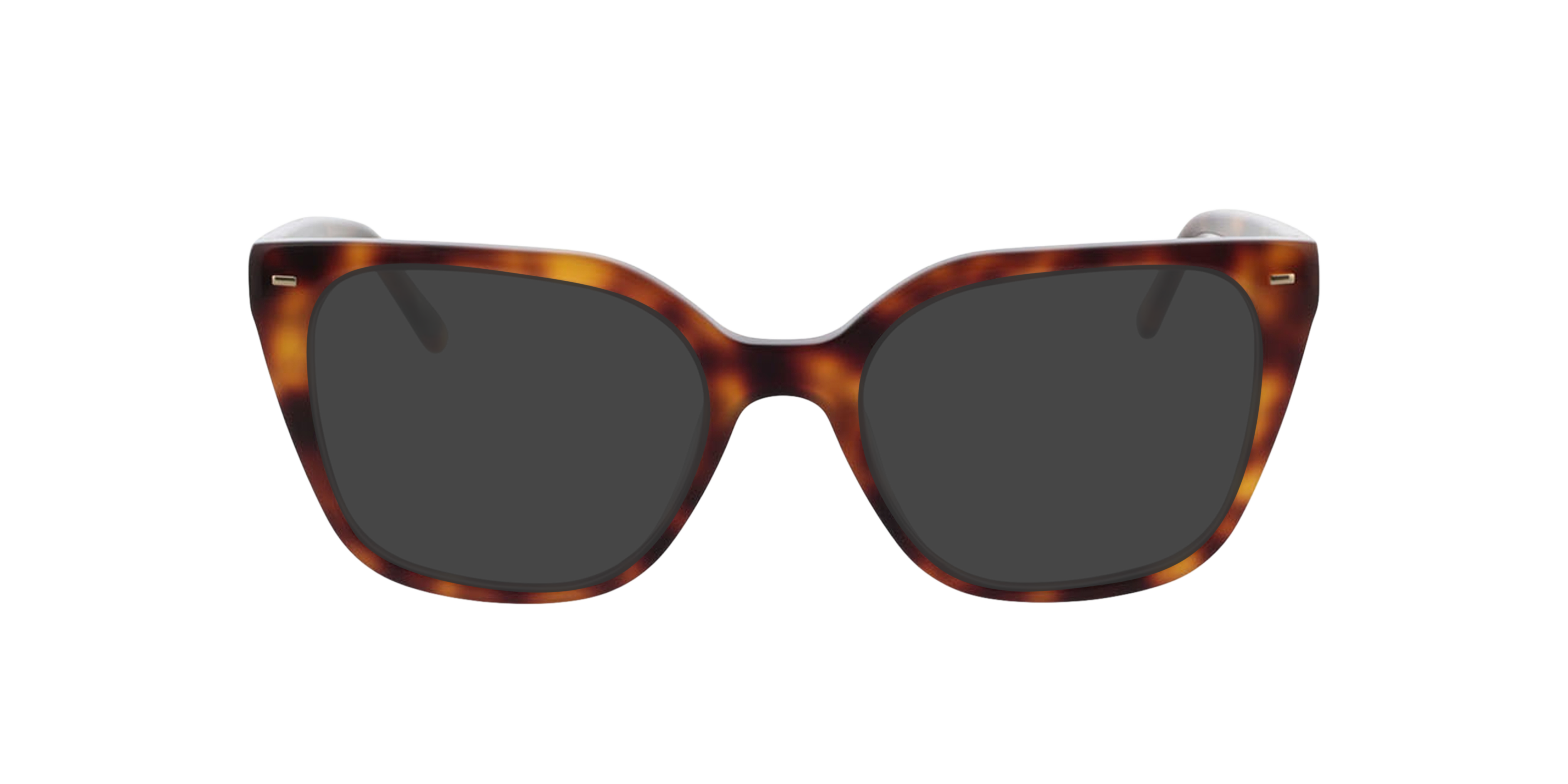 Beverly Havana AcetatEyeglass Frames von B24, mit getönten Gläsern