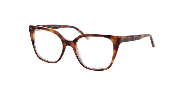 Beverly Havana AcetaatEyeglass Frames van B24, Hoekweergave