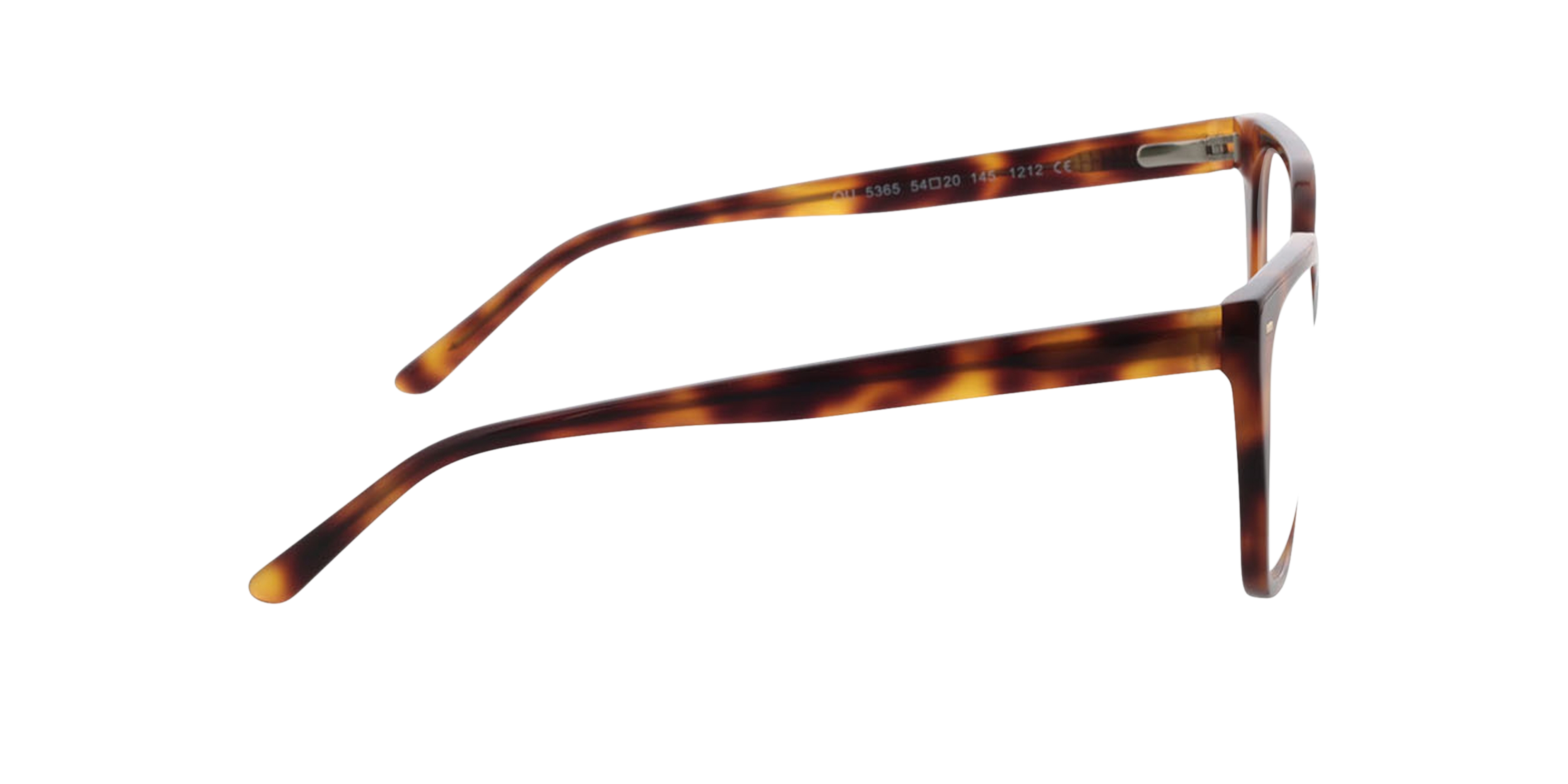Beverly Havana AcetatEyeglass Frames von B24, Seitenansicht