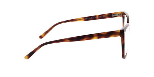 Beverly Havana AcetaatEyeglass Frames van B24, Zijaanzicht