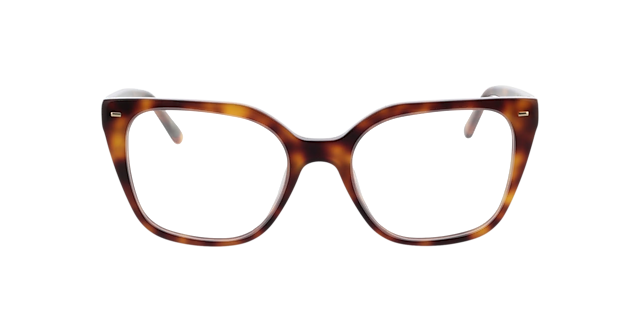 Beverly Havana AcetaatEyeglass Frames van B24, Vooraanzicht