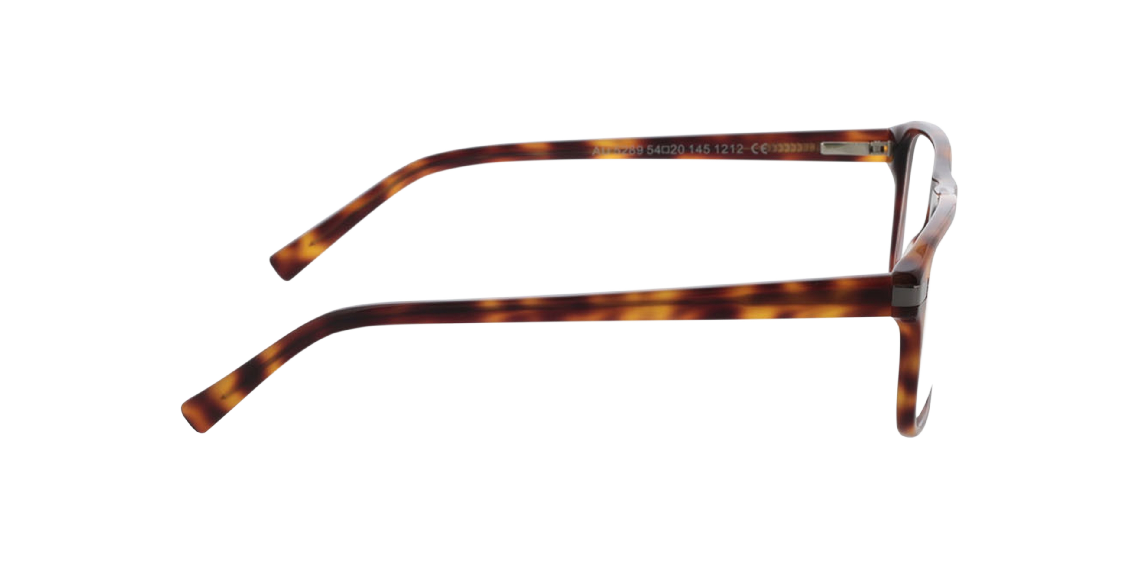 Torrance Havana  &  Gun AcetatEyeglass Frames von B24, Seitenansicht