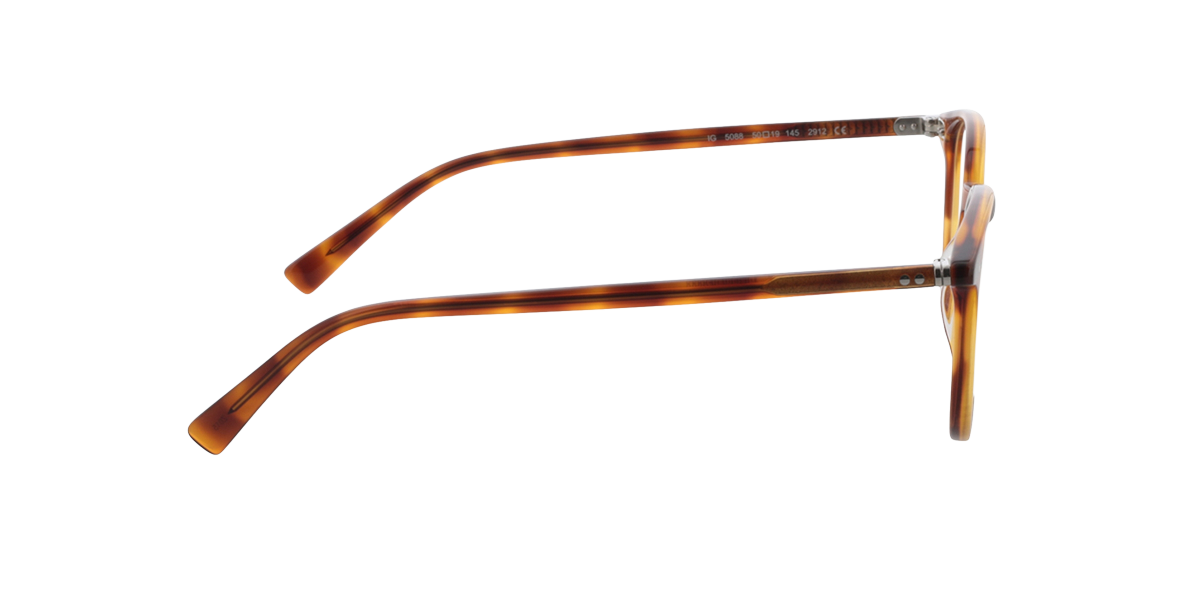 Serena Honing Havana AcetaatEyeglass Frames van B24, Zijaanzicht