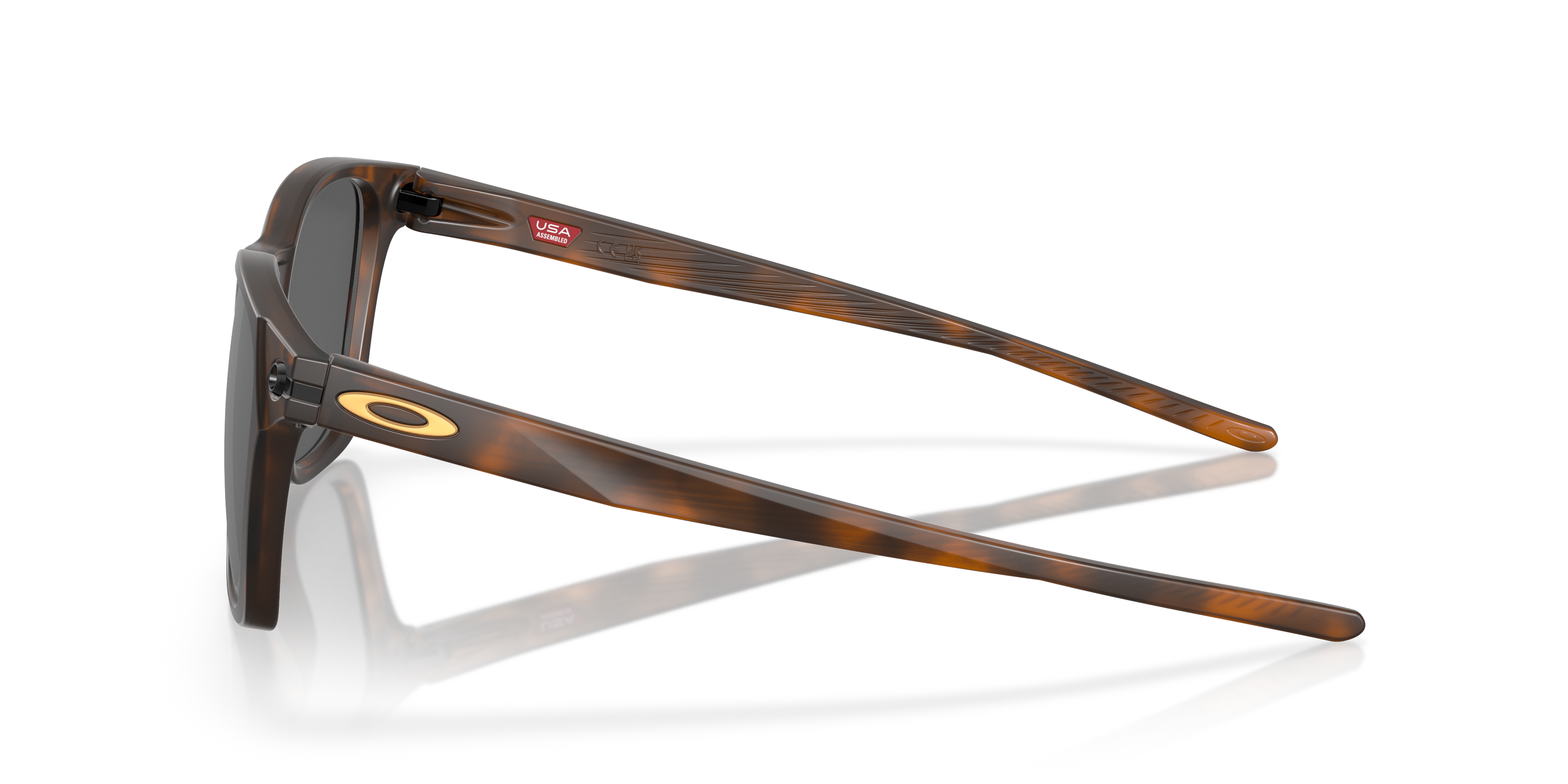 Ojector Matt Braun Tortoise KunststoffEyeglass Frames von B24, Seitenansicht