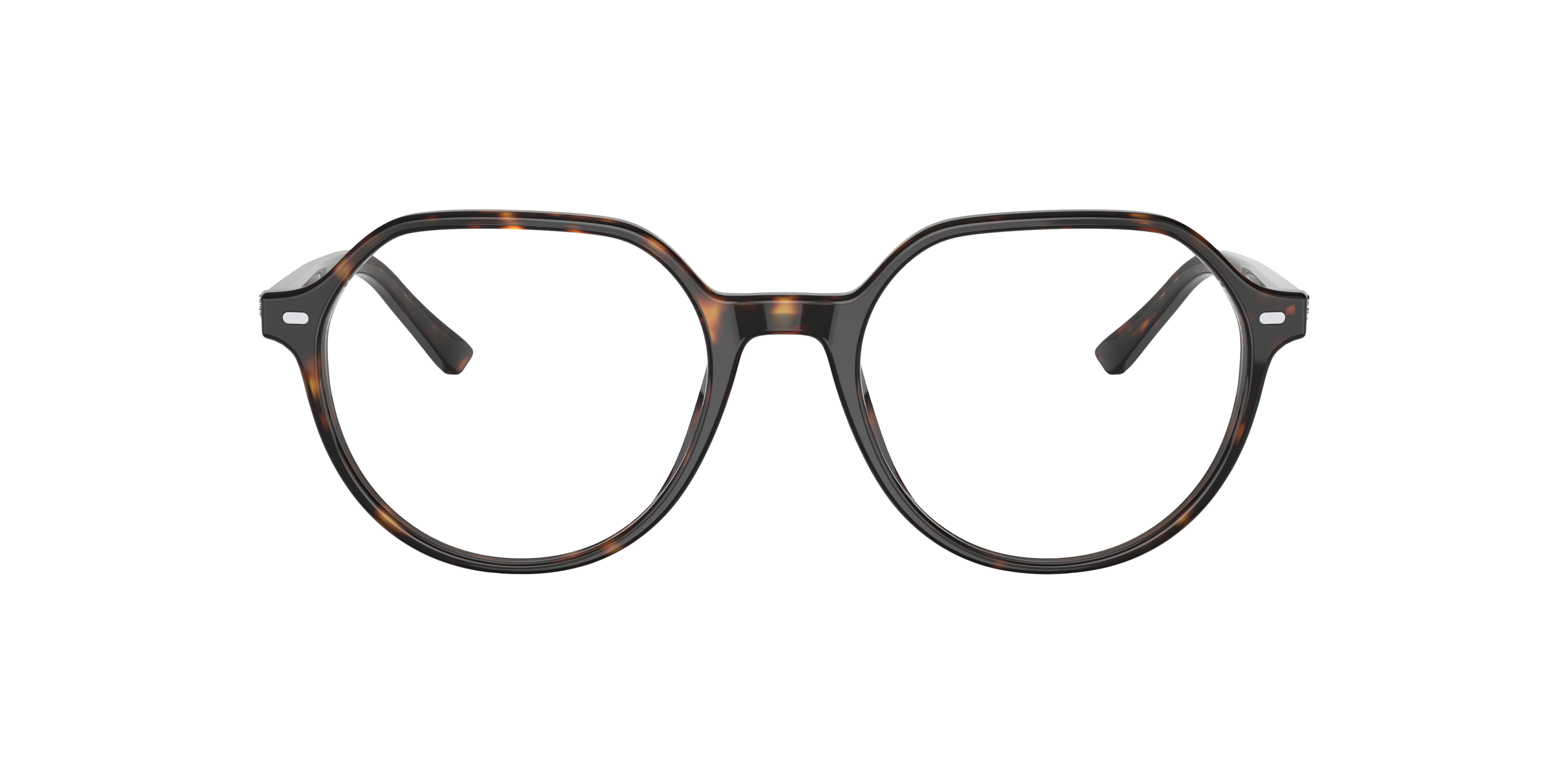 Ray-Ban 8056597364287 Havana/black, Size: Durchschnittlich