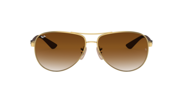 Arista goud RB8313 -  Metaal Zonnebrillen