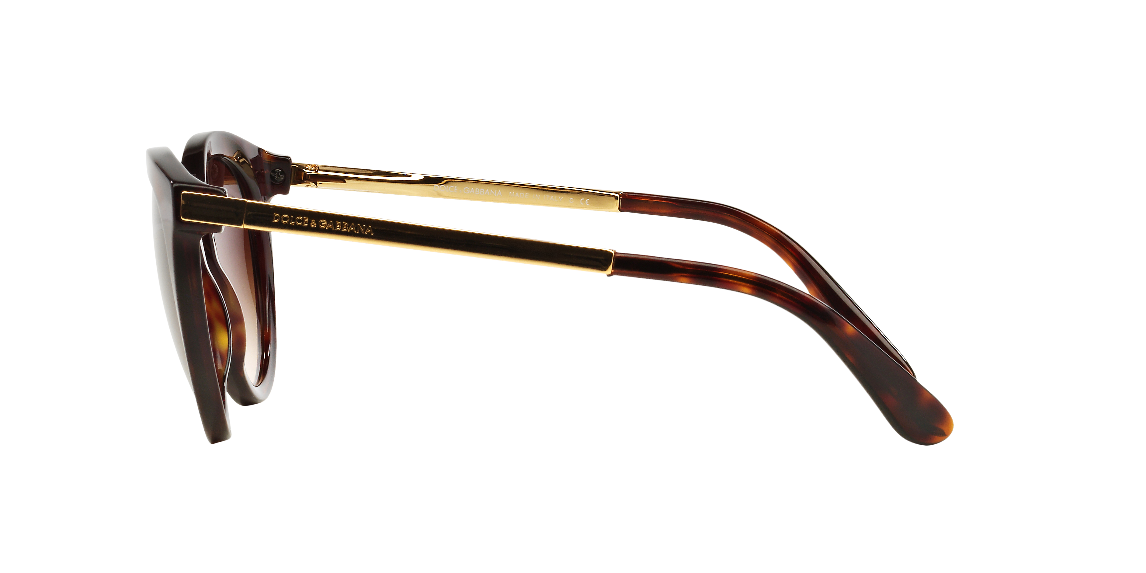 DG4268 Havana AcetatSunglass Frames von B24, Seitenansicht