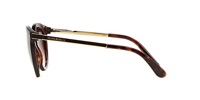 DG4268 Havana AcetaatSunglass Frames van B24, Zijaanzicht