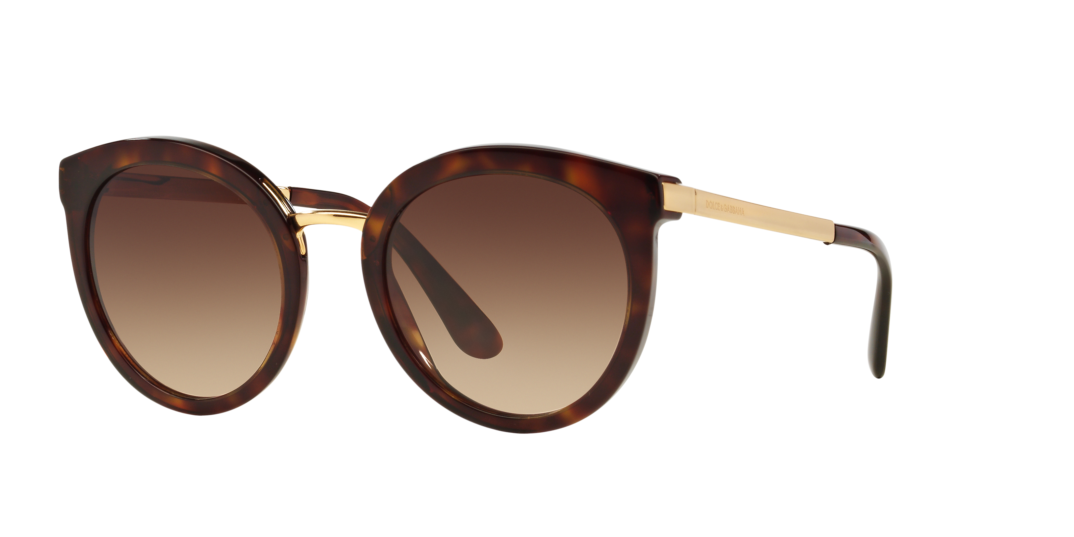DG4268 Havana AcetatSunglass Frames von B24, Dreiviertelansicht