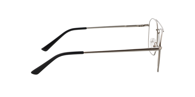 Berry Zilver  &  zwart pootje MetaalEyeglass Frames van B24, Zijaanzicht