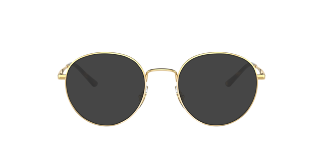 RB3681V Arista goud MetaalEyeglass Frames van B24, met getinte lenzen