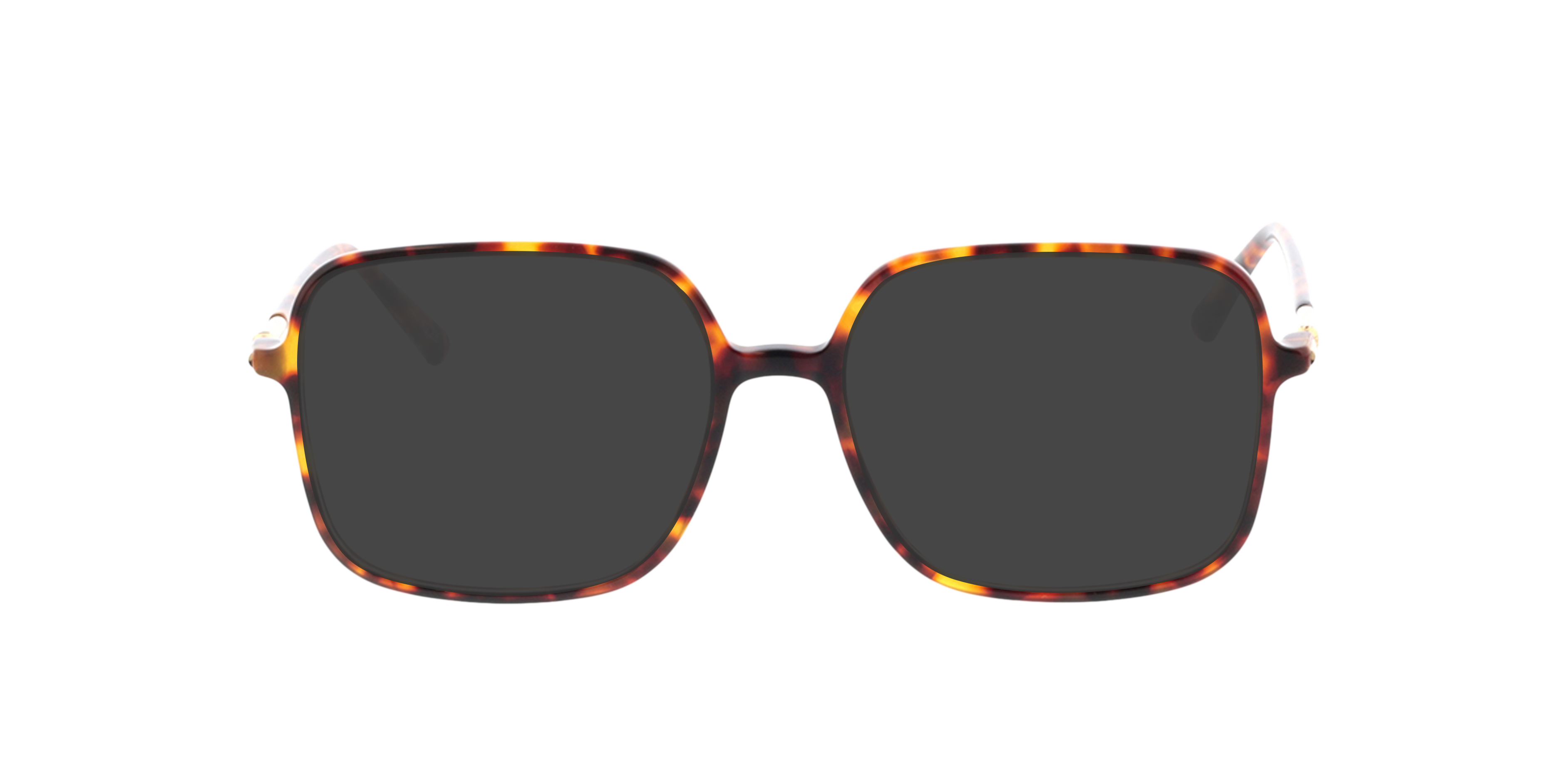 Donna Havana AcetaatEyeglass Frames van B24, met getinte lenzen