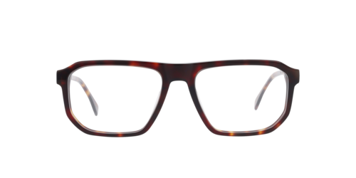Charlie Temple - Mick, Herren, Moonlight Tortoise/brown_transparent/gun, Größe: Large