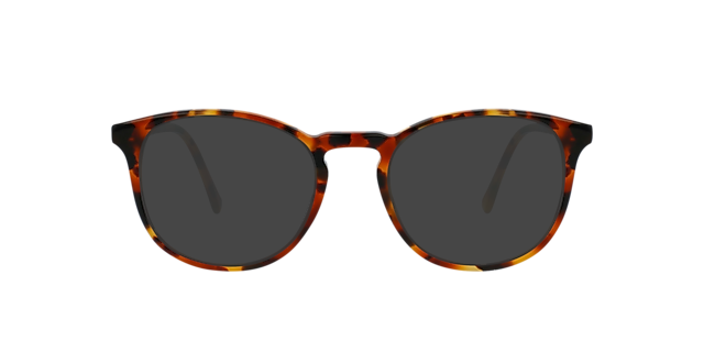 Neil Chestnut Tortoise AcetaatEyeglass Frames van B24, met getinte lenzen