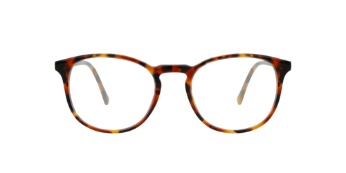 Charlie Temple - Neil, Chestnut Tortoise/brown/Thunder Sky, Größe: Durchschnittlich