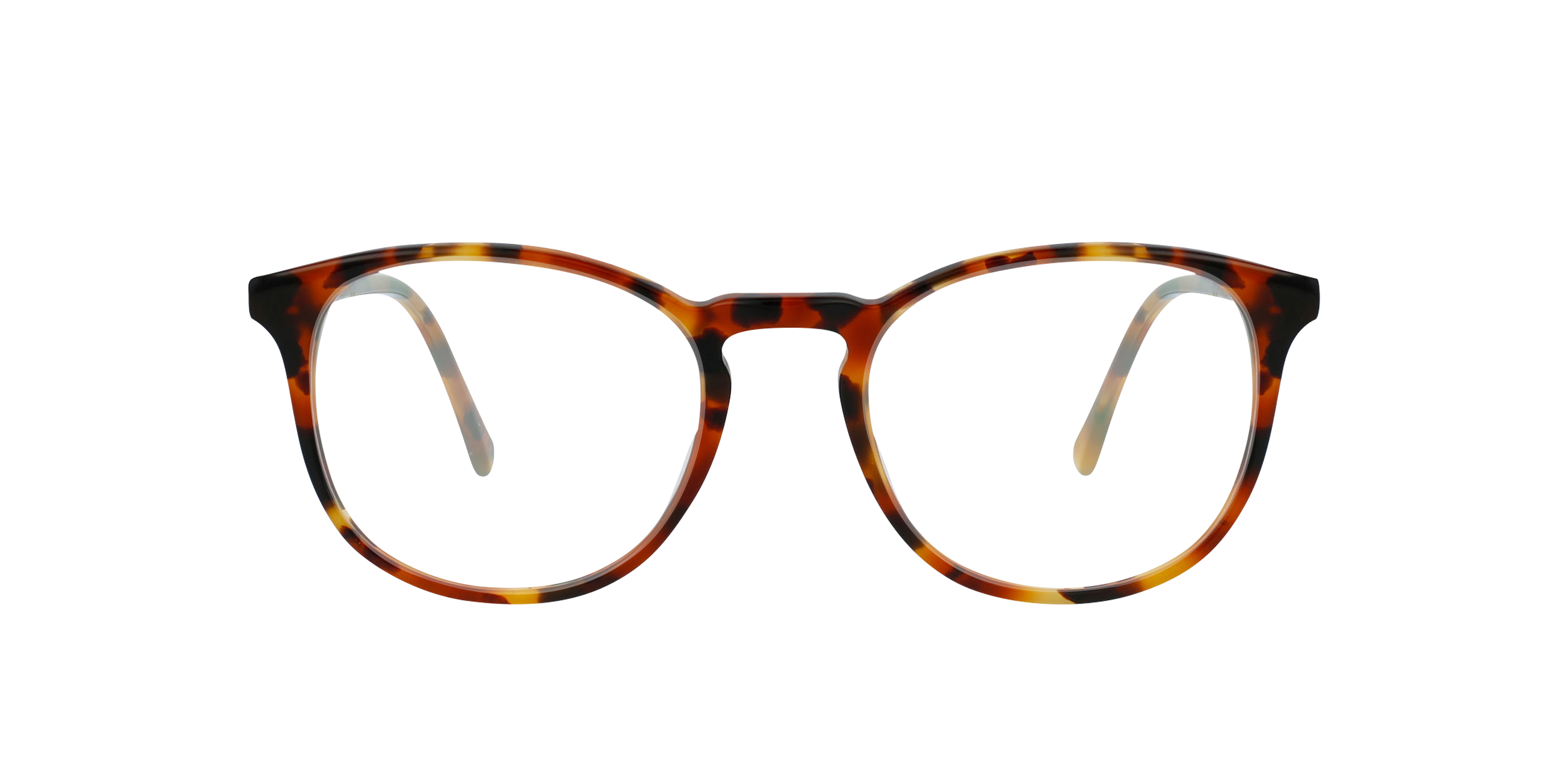 Charlie Temple 8721321260684 Chestnut Tortoise/brown/thunder Sky, Size: Durchschnittlich