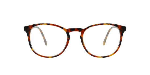 Neil Chestnut Tortoise AcetaatEyeglass Frames van B24, Vooraanzicht