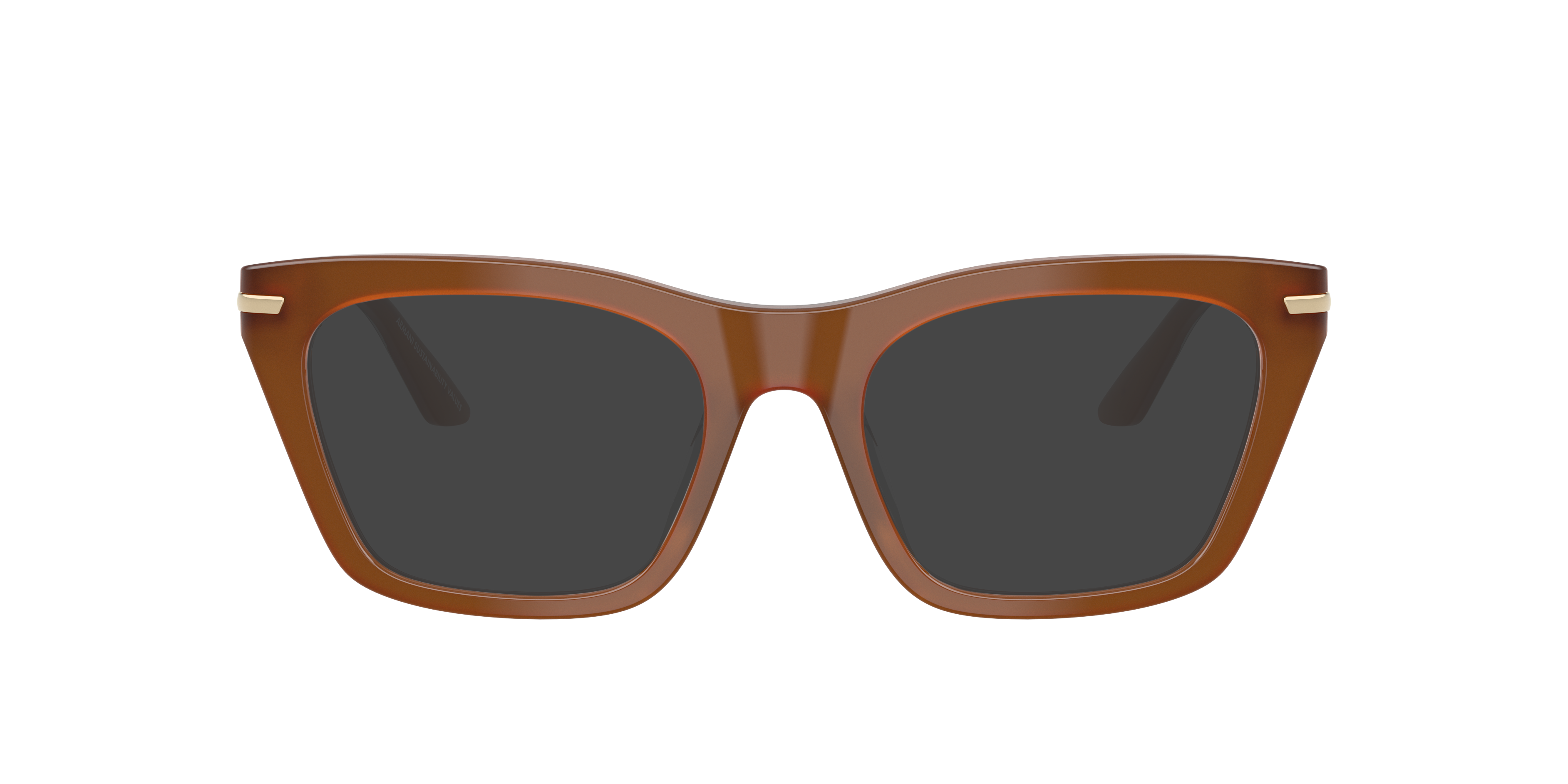 EA3283BU Tobacco AcetaatEyeglass Frames van B24, met getinte lenzen