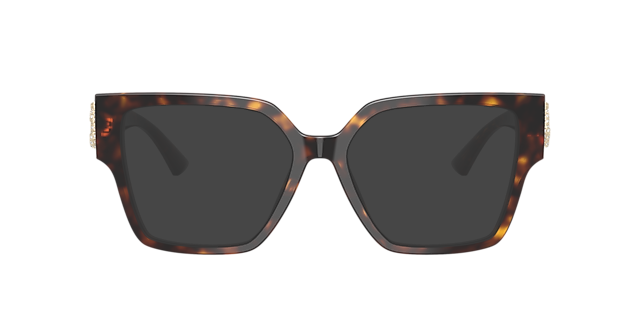 JC3032B Havana AcetatEyeglass Frames von B24, mit getönten Gläsern