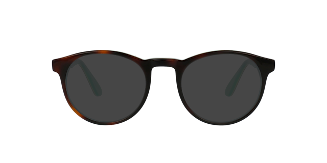 Parker CT Tortoise & Emerald AcetaatEyeglass Frames van B24, met getinte lenzen