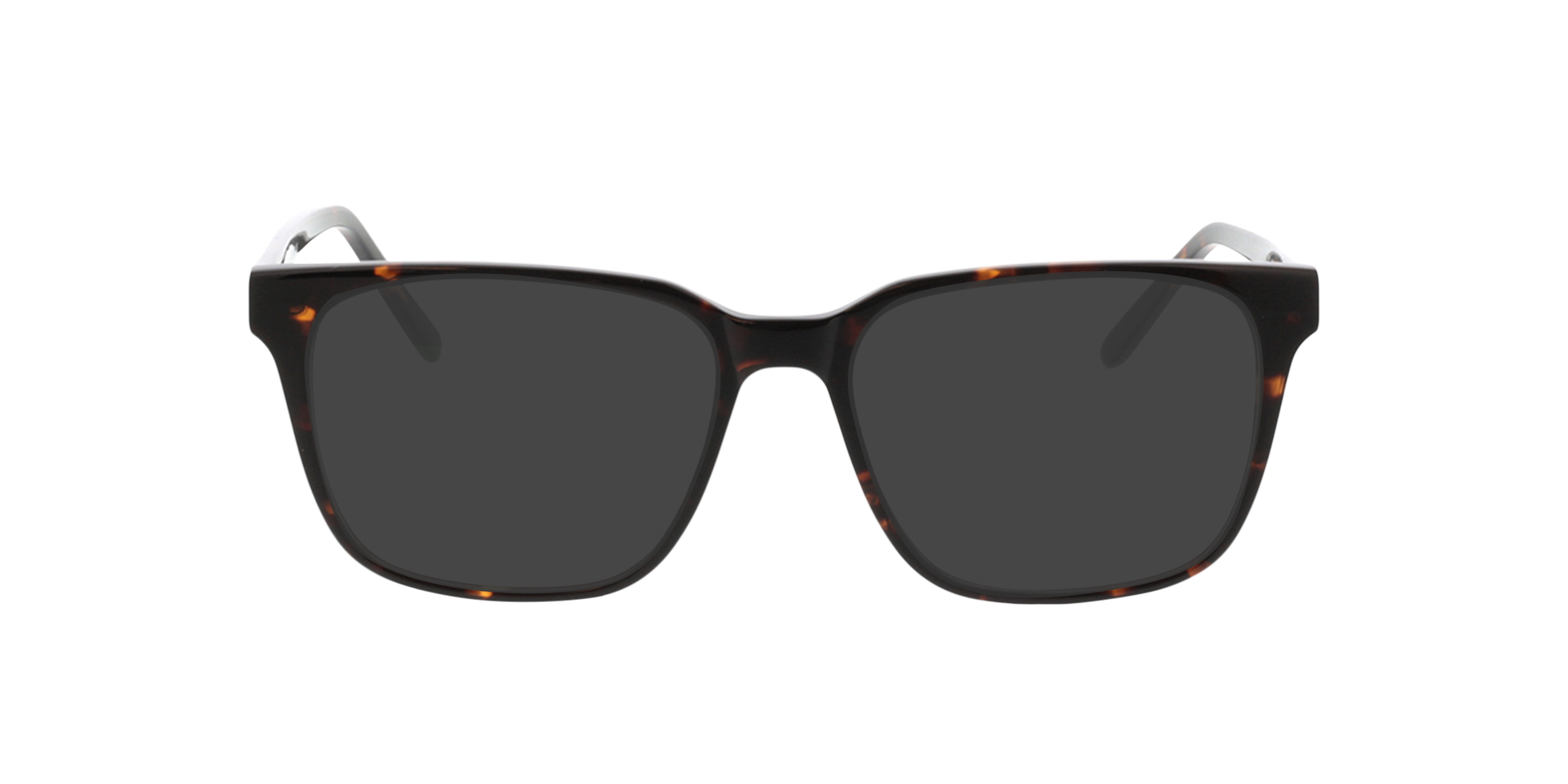 Woodstock Braun AcetatEyeglass Frames von B24, mit getönten Gläsern