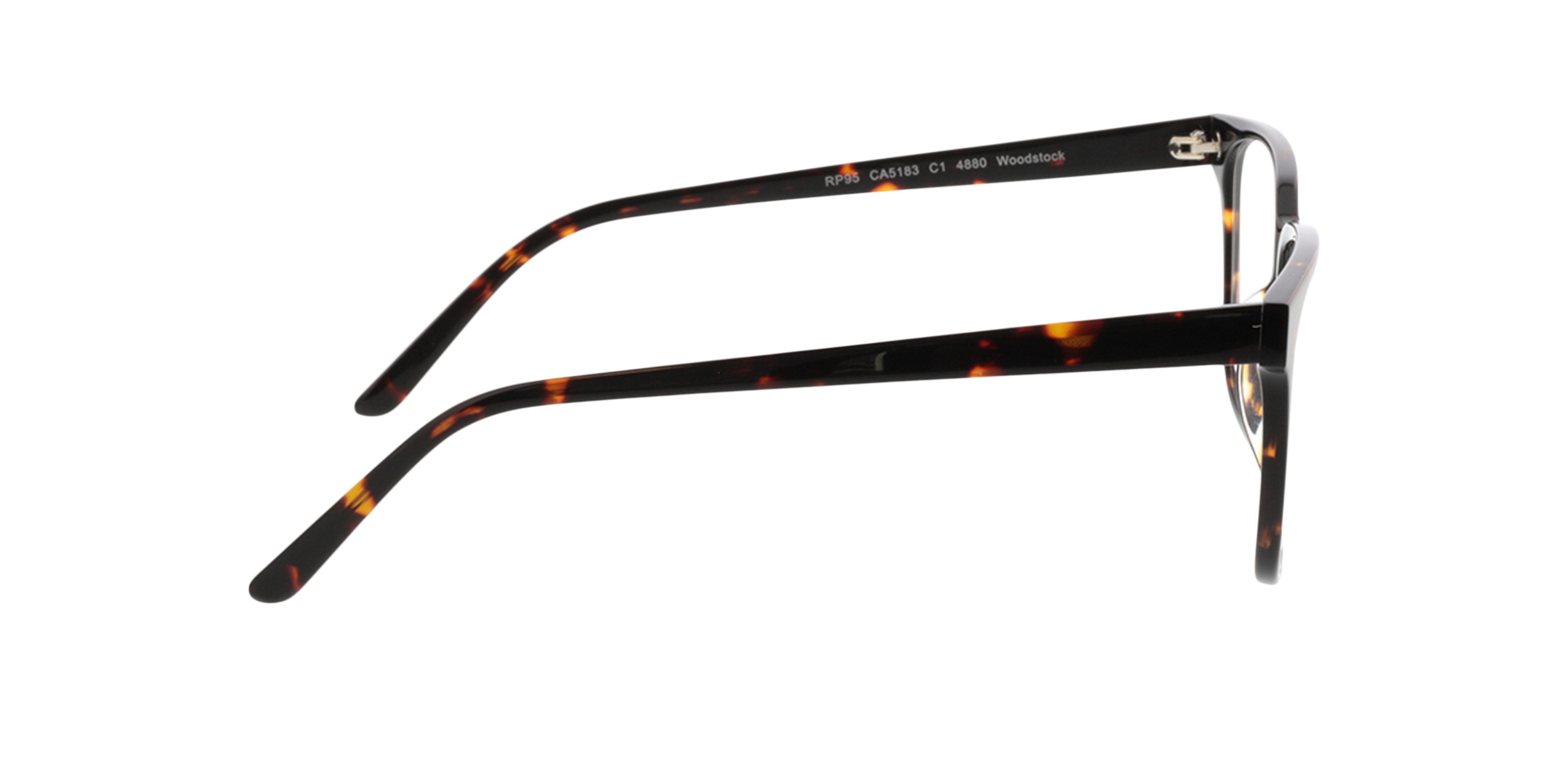 Woodstock Braun AcetatEyeglass Frames von B24, Seitenansicht