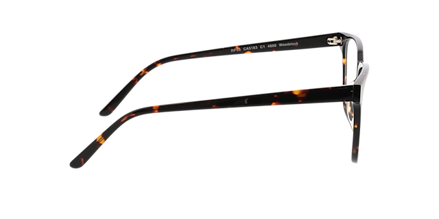 Woodstock Braun AcetatEyeglass Frames von B24, Seitenansicht