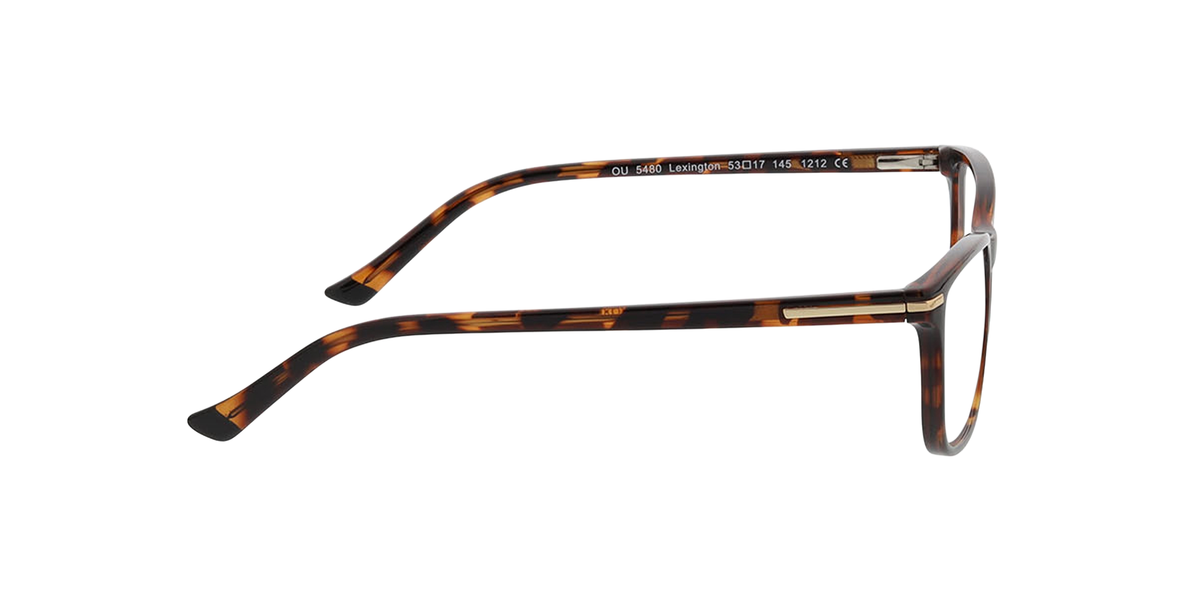 Lexington Havana KunststofEyeglass Frames van B24, Zijaanzicht