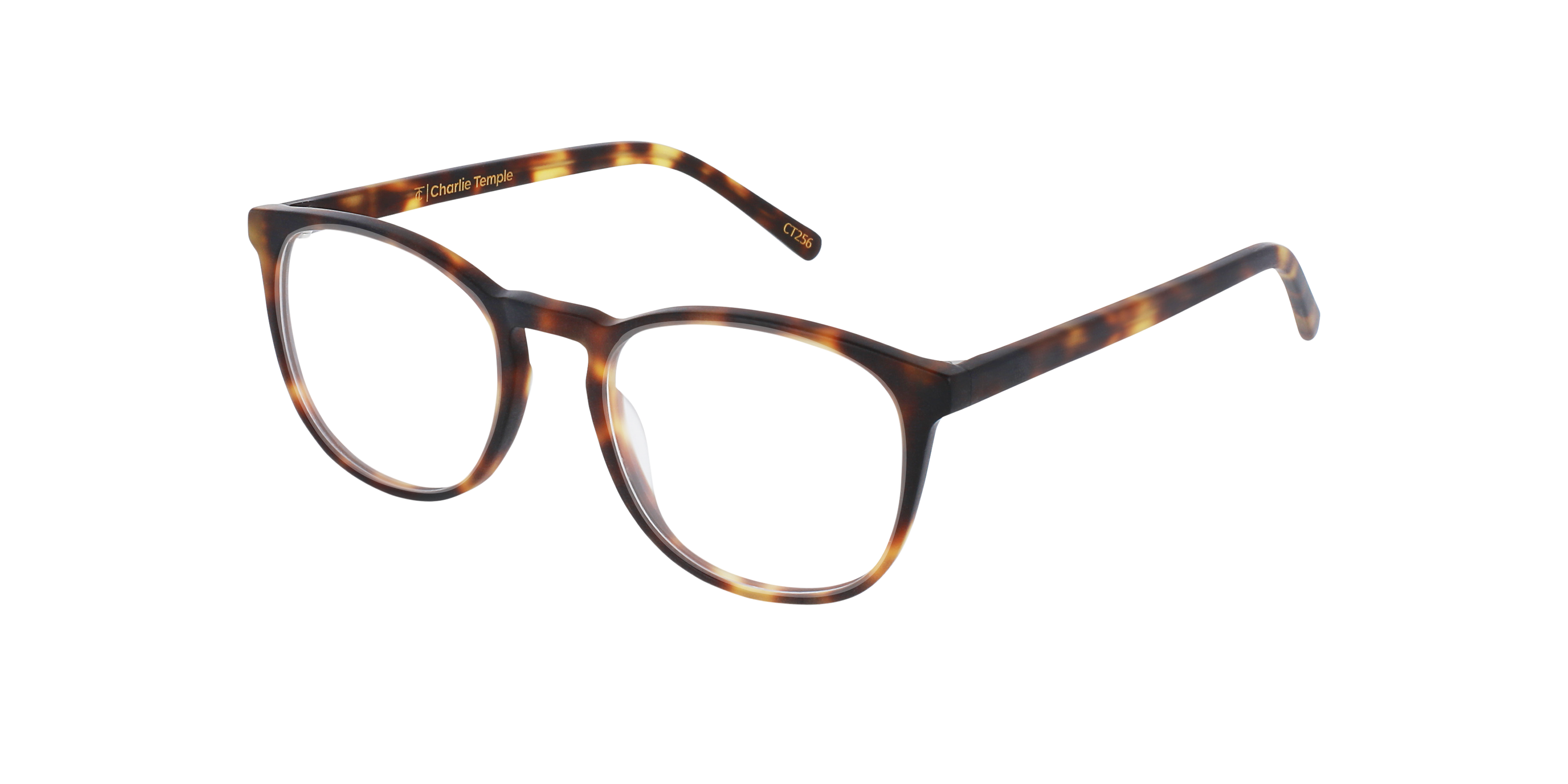 Owen Moonlight Tortoise AcetaatEyeglass Frames van B24, Hoekweergave