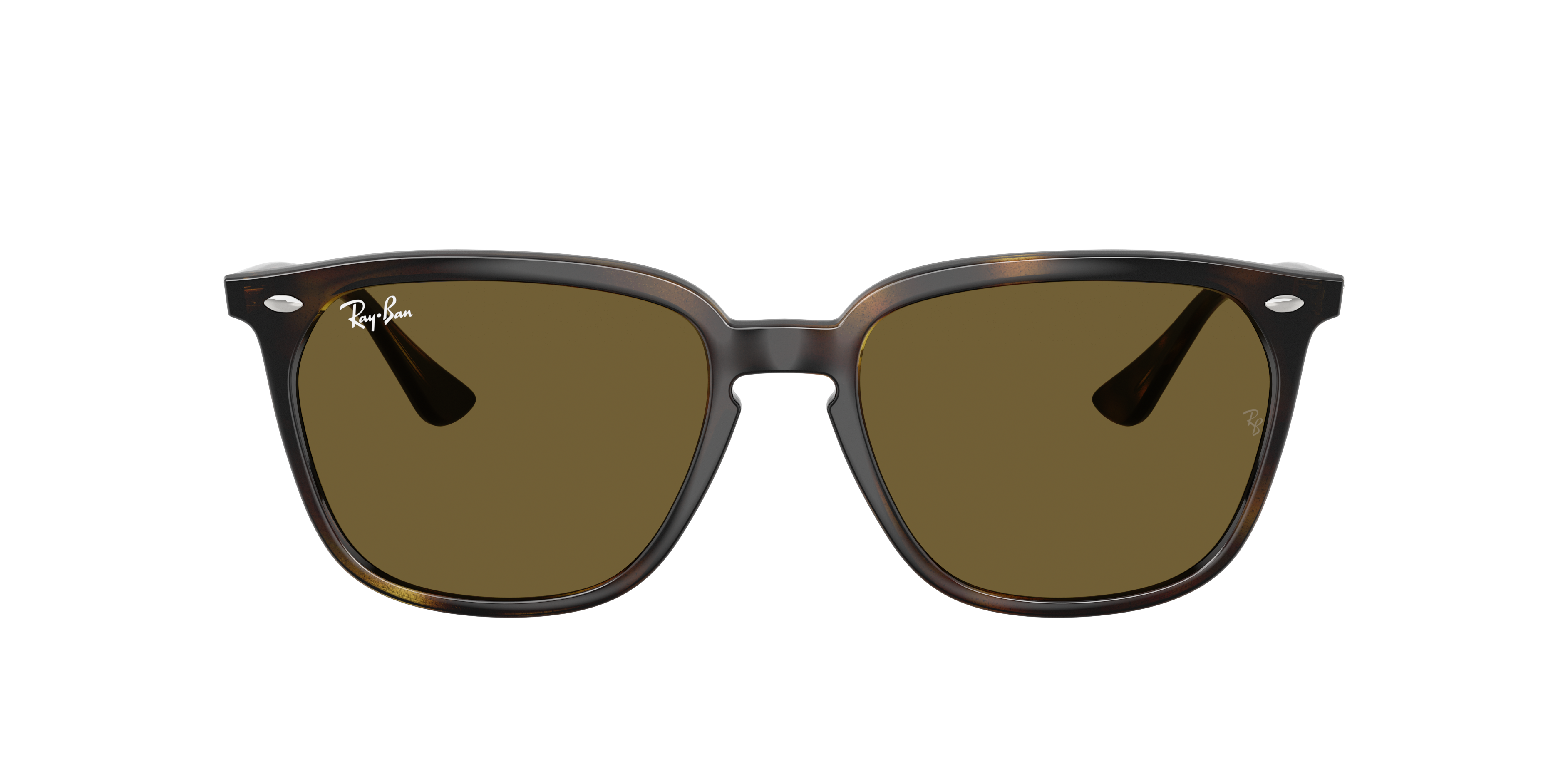 Thumbnail - Ray-Ban 8056597519007 Havana/light Brown/black, Size: Large