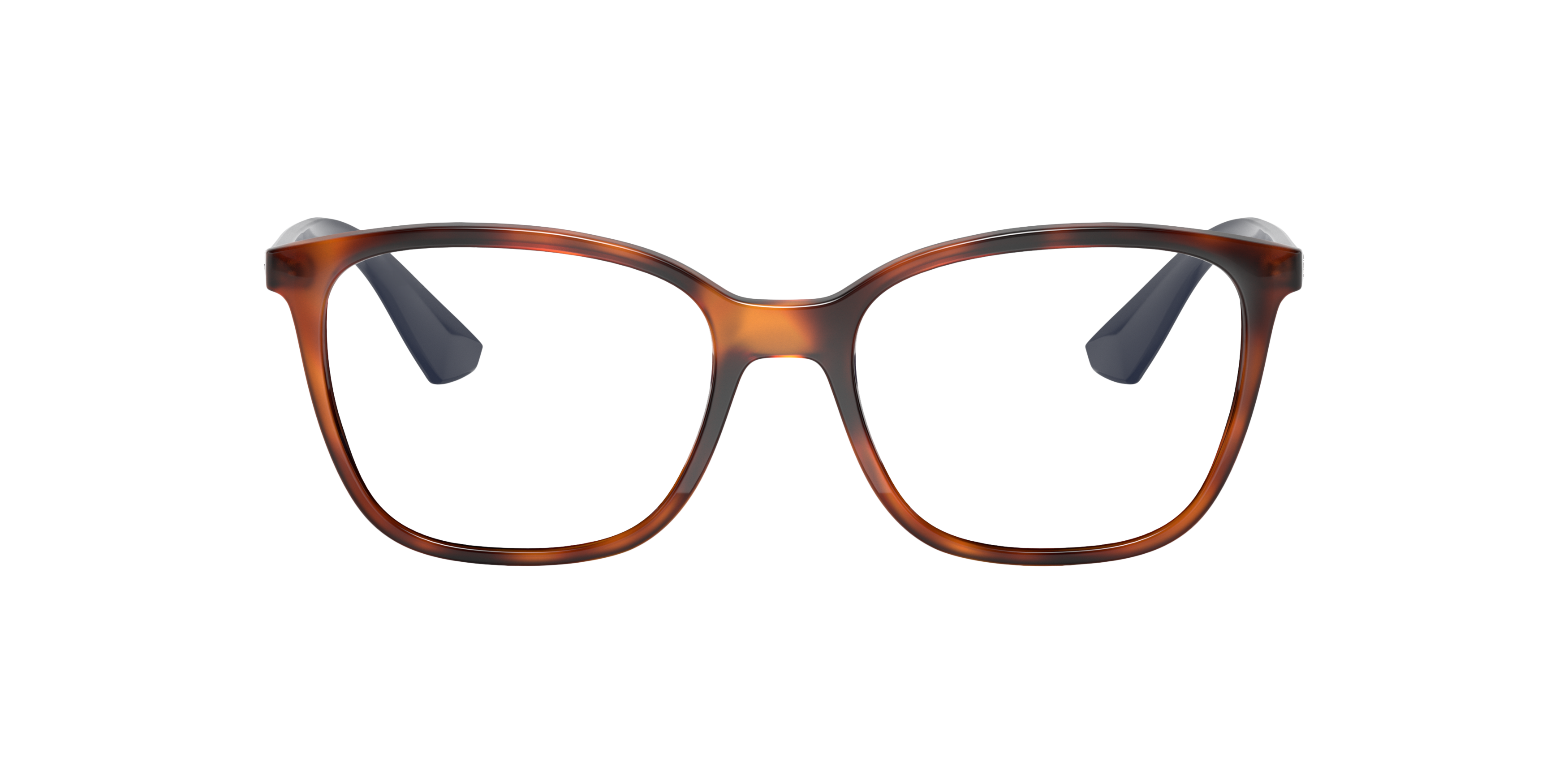 Ray-Ban 8053672503432 Hellhavana/black/light Havana, Size: Large