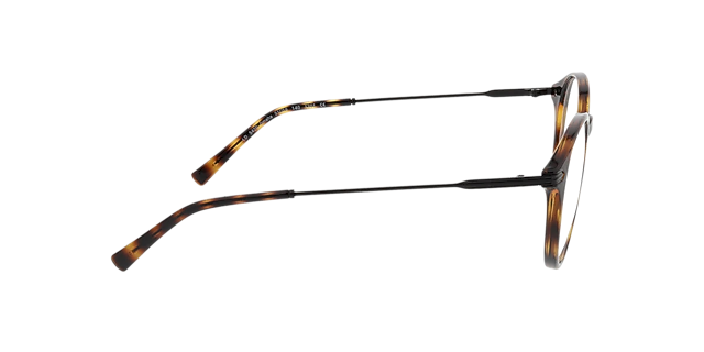 Omaha Havana & Black KunststofEyeglass Frames van B24, Zijaanzicht