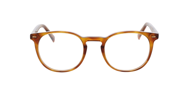 Fargo Honing Havana AcetaatEyeglass Frames van B24, Vooraanzicht