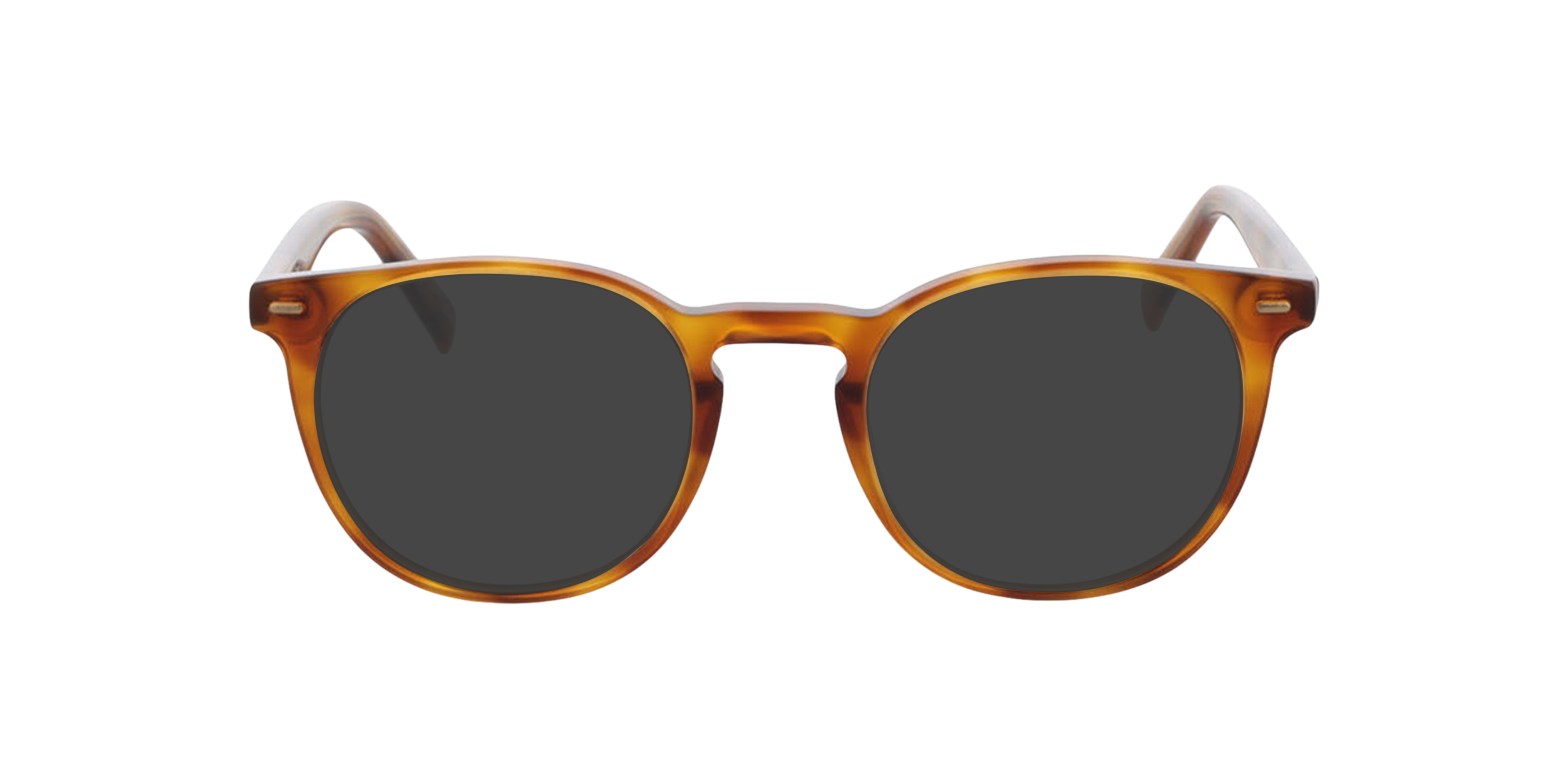 Fargo Honey Havana AcetatEyeglass Frames von B24, mit getönten Gläsern