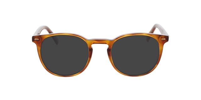 Fargo Honing Havana AcetaatEyeglass Frames van B24, met getinte lenzen