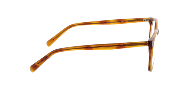 Fargo Honing Havana AcetaatEyeglass Frames van B24, Zijaanzicht