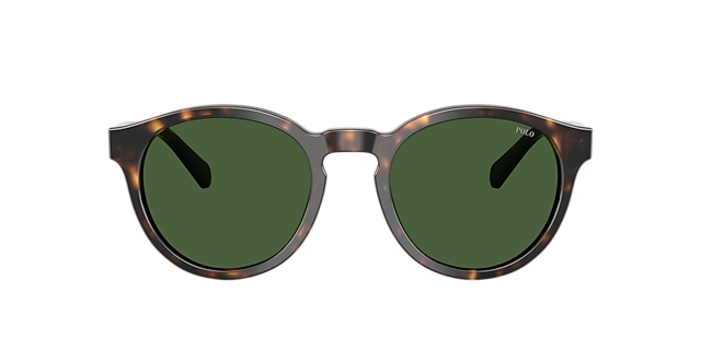 PH4192 Glänzendes Dunkelhavana AcetatSunglass Frames von B24, mit getönten Gläsern