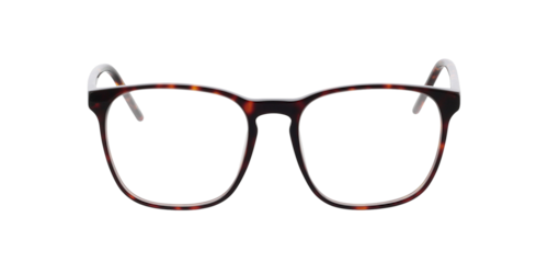 Brille24 - Malmö, Havana/Black/Pink Horn, Größe: Large