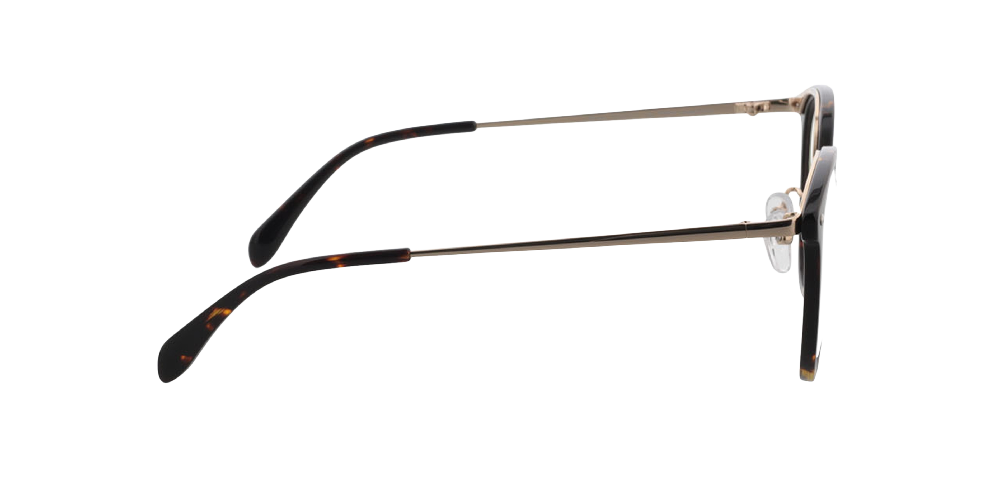 Charlotte Brown Havana  &  Gold AcetatEyeglass Frames von B24, Seitenansicht