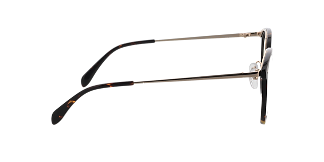 Charlotte Bruin Havana  &  goud AcetaatEyeglass Frames van B24, Zijaanzicht