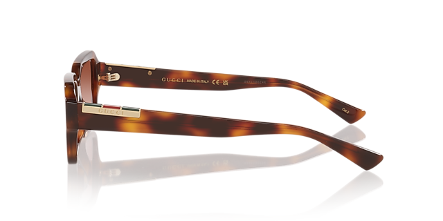 GG1887S Tortoise AcetaatSunglass Frames van B24, Zijaanzicht